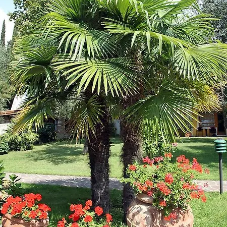 Sailing Center Hotel Malcesine