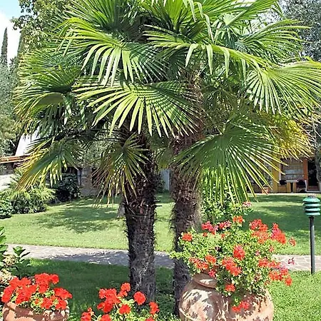 Hotel Sailing Center Malcesine
